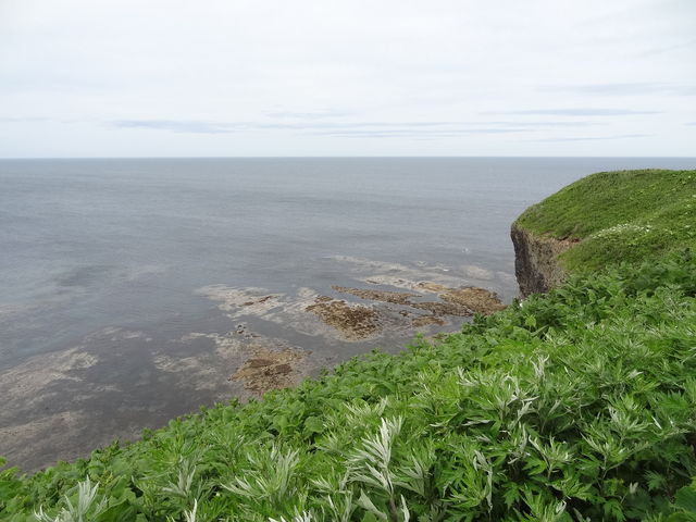 ����@���F�̊┧�������܂ŐL�тĂ��܂�_�\�斦�C��