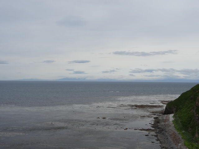 �������ɒm�������������܂�_�\�斦�C��