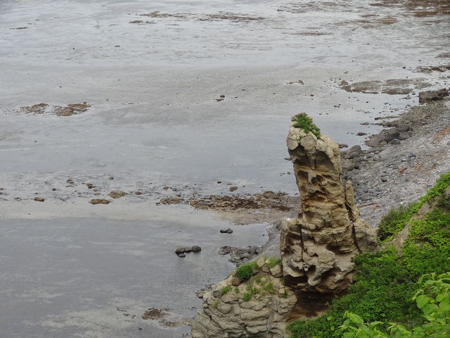 �����P�T���قǂ̊₪�����藧��_�\�斦�C��