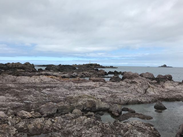 ���ӂ��S�~�ȂǊF���B�������I_�j�����C��