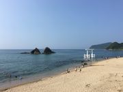 poporon̂ƃIVɎf[gR[X̓eʐ^2