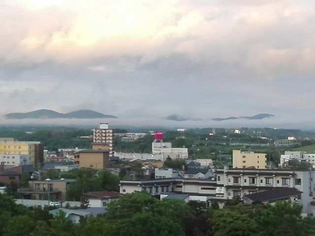 ��`���B��s�@�̒����������܂��I�_�C�ɂȂ��Ă��đf�G�ł�����_���̐쉷��