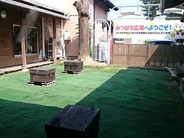 񂿂񂳂̓{I r[Yt@[̓eʐ^1