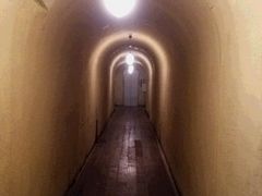 TCp̎l@ϑPقւ̓eʐ^2