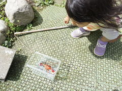 ̃G[OfBAz㒆ւ̓eʐ^2