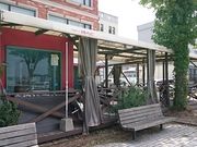 񂿂񂳂̖i`g@l̂܂̓eʐ^1