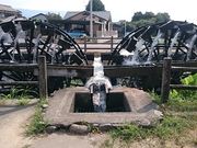 񂿂񂳂̃JtF̓eʐ^1