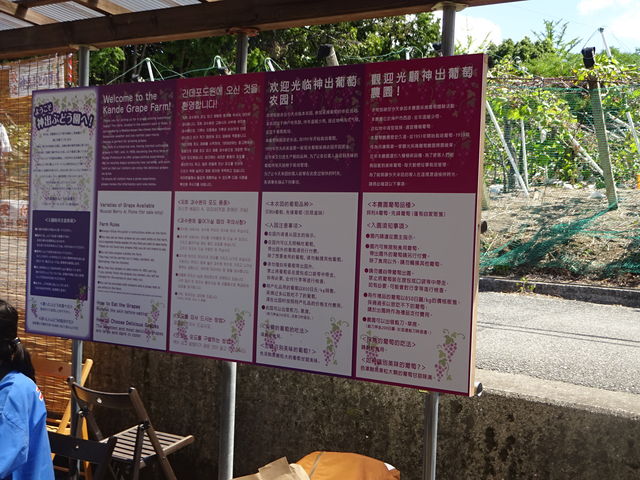 OlHO̊ŔB__oόԂǂ