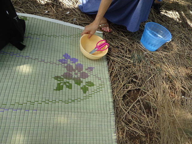 oPcSU̖݂o肪B__oόԂǂ