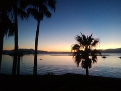 傤̎whR[r[`zeւ̓eʐ^1