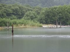 �c�P�`��������̑吳�r�ւ̓��e�ʐ^1