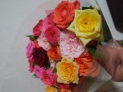 傤̓̉w Ԃ ʉԍ؊ق̓eʐ^4