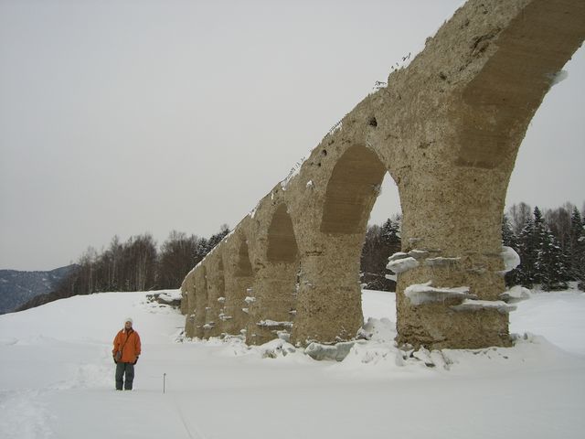 ���Ɖ��N����_�ʂ��т猹��