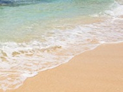 ANZ[JČÉFr[`ւ̓eʐ^1