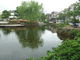 トシローさんの菰池公園の投稿写真1