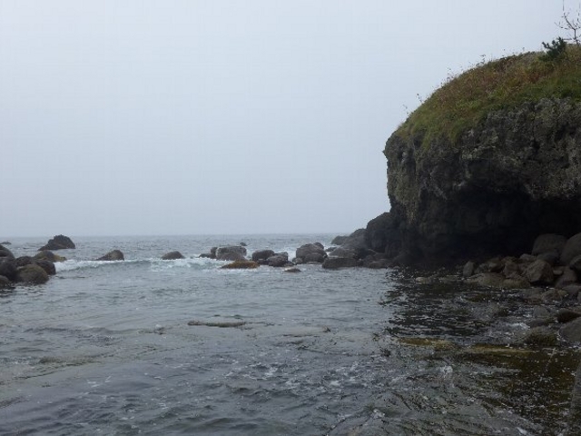 ���v���n�߂��C�l���򗁑�_�����C�l�I�V���C