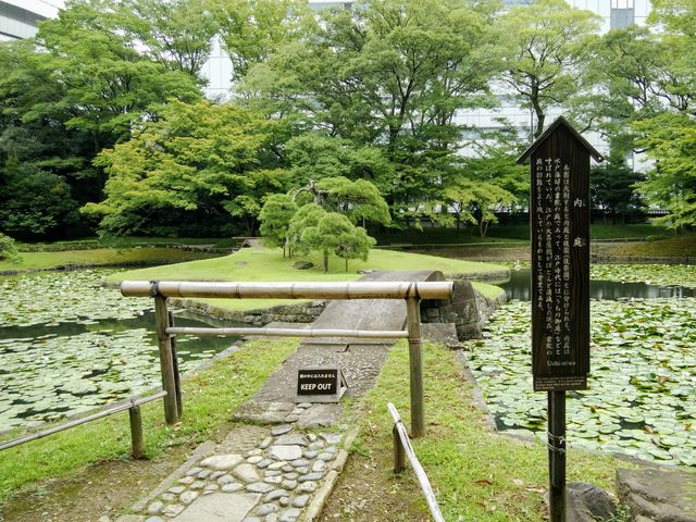 ����_����i���ΐ��y���j