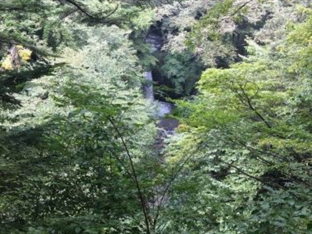 ��_����̑�