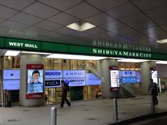 Ё[񂳂̏aJ}[NVeBւ̓eʐ^1