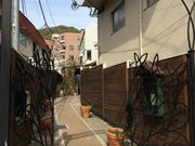 ܂񂳂̃TE}[V̓eʐ^2