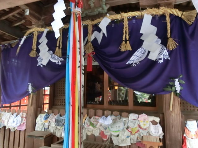 �O����{