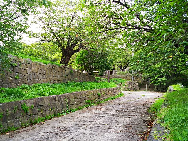 �Ί_��_���O����