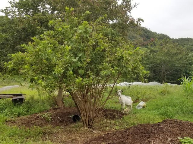 �€�ɁA�������������Ă��炦��_�p���_�C�X�t�B�[���h�u�X�Ɣ��̊w�Z�v