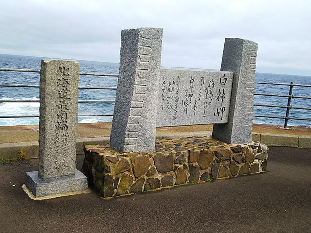 �k�C���œ�[�̔�_���_��