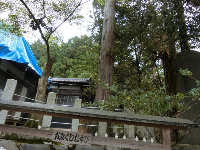 �O����{