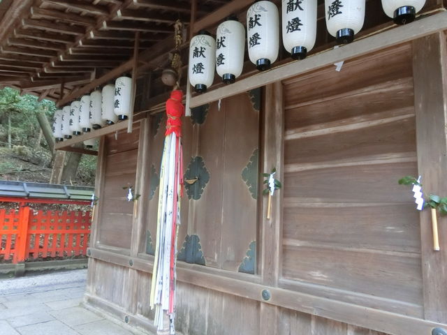 �O����{