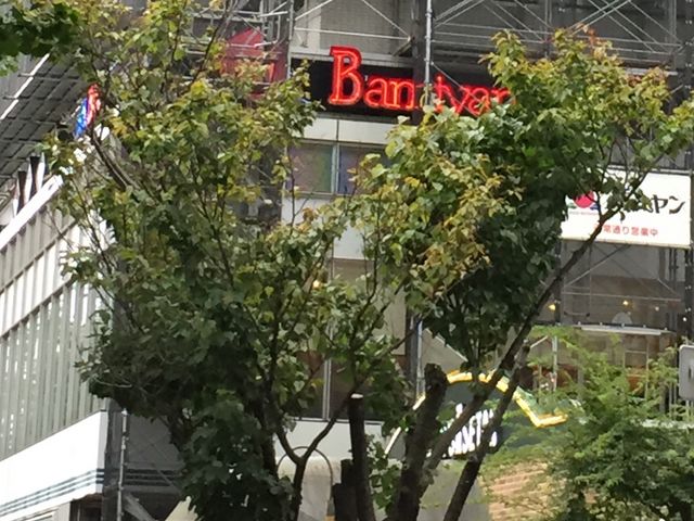 suzũo[~ ΐX̓eʐ^1