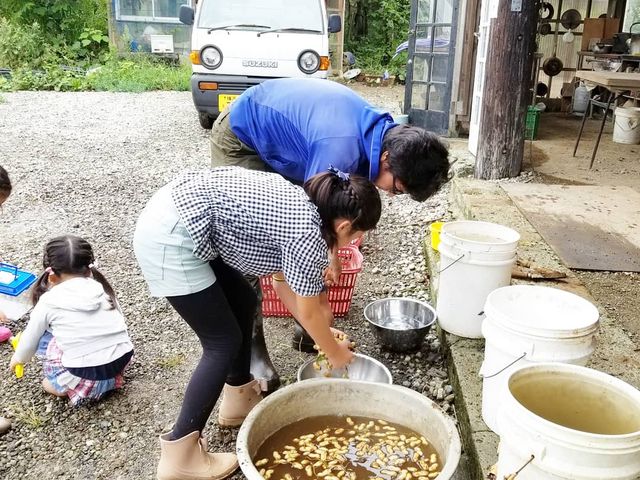 �_�Ƒ̌��̗��Ԑ����n�B��������n�������ƁA�D�𗎂Ƃ�����A�A��Ƃ͗D�������J�ɌW��̐l�������Ă��ꂽ_�p���_�C�X�t�B�[���h�u�X�Ɣ��̊w�Z�v