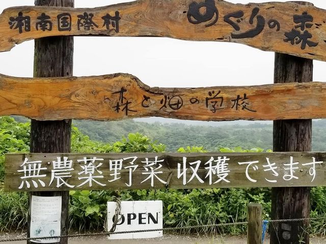 �������ԏꂩ��A���̏ꏊ�܂ŋ���������̂ŁA�������߂ɓ������I�X�X��_�p���_�C�X�t�B�[���h�u�X�Ɣ��̊w�Z�v