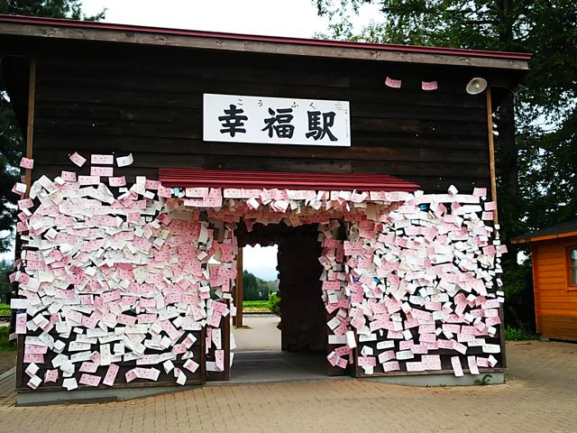 �ؕ��̒���ꂽ�w��_�K���w�i�K���S�������j