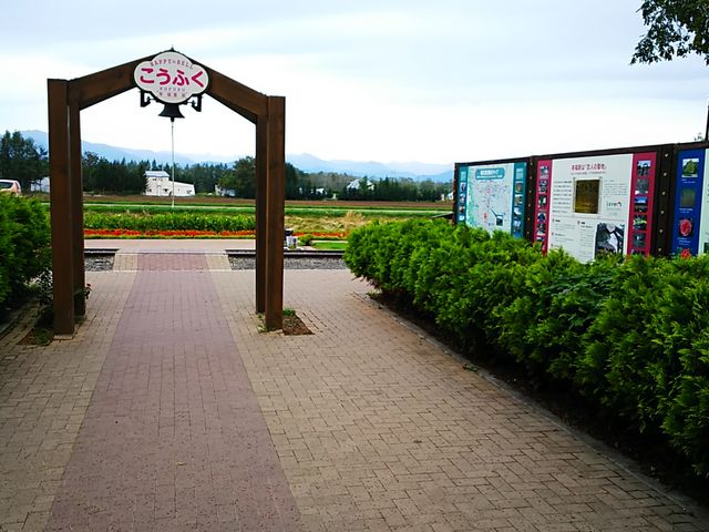 �����_�K���w�i�K���S�������j