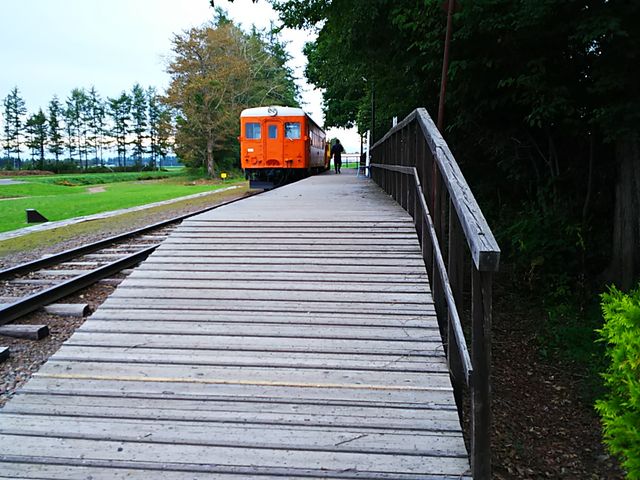 �C����_�K���w�i�K���S�������j