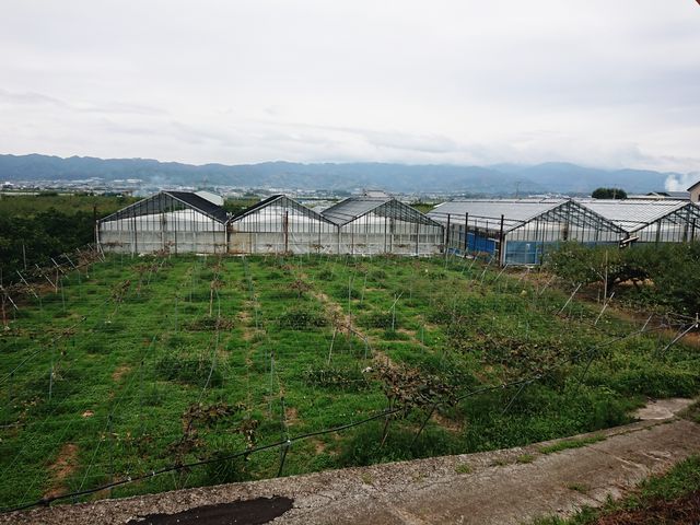 ̂̋I̐t[ct@[̓eʐ^1