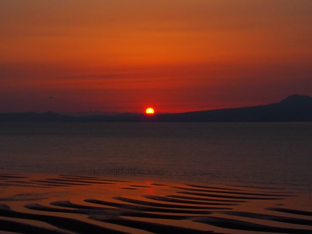 �^���Ԃɐ��܂��`���C��_��`���C�݊����i���̒n