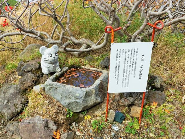 ������񂳂�̌�ԎR�����ڂ̓��e�ʐ^7