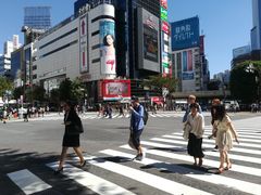 KekȍaJwOXNu_ւ̓eʐ^1