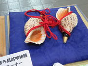 yosshŷł͕LOق̓eʐ^3