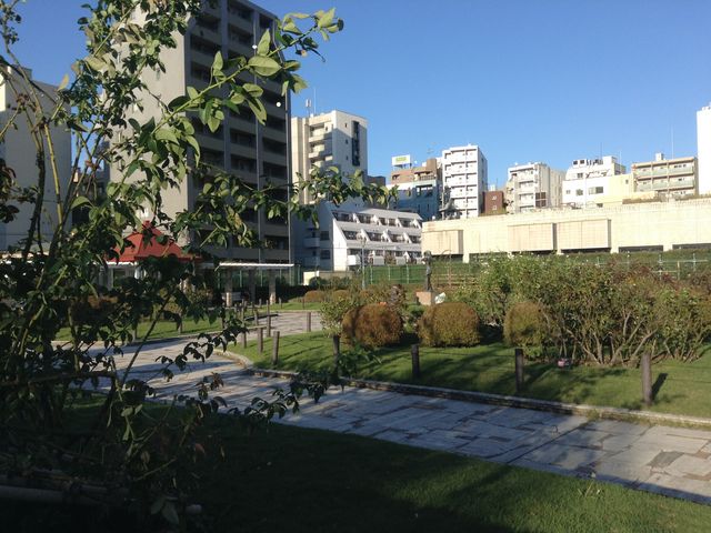 ���J���y���݂ł�_�{�������������̂΂�