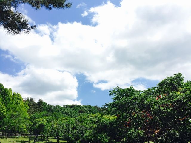 �߂���_�߂��߂��q��