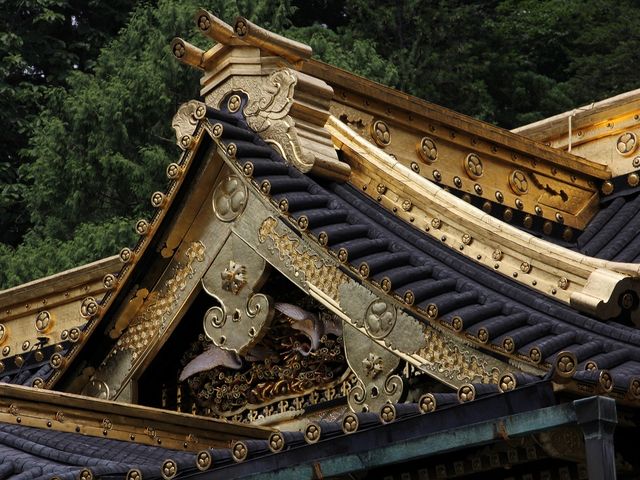 �ǂ��܂ł�����т₩�B_�������Ƌ{