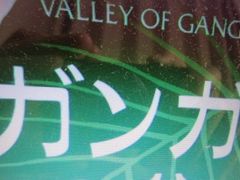 Ⴝ낤̃KK[̒Jւ̓eʐ^1