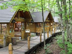 񂳂̃VbsO[hujOeXvւ̓eʐ^2