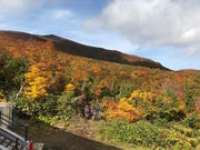 ZUNDAM̂킩ݕ̍gt̓eʐ^1