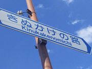 ܂[񂳂̂ʂ̘H̓eʐ^1