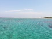 Dreamliner̐V铇̓eʐ^1