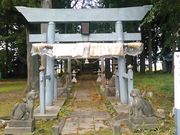 L^J̓c_ЁiHcsj̓eʐ^2